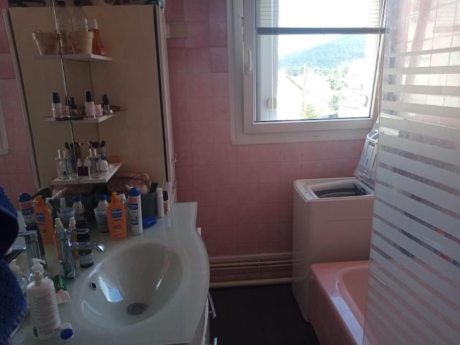 Appartement 83 M2 Renove Remiremont Esterno foto